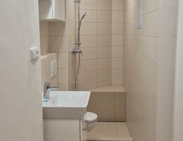 Rekonstrukce koupelny v garsonce | Rekonstrukce koupelen - fotogalerie - inspirace